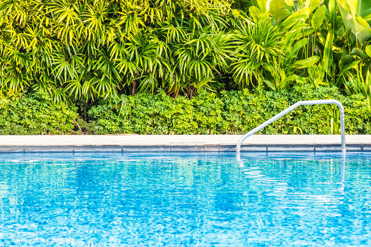 Creating a Beautiful Poolside Landscape with Low Maintenance Plants