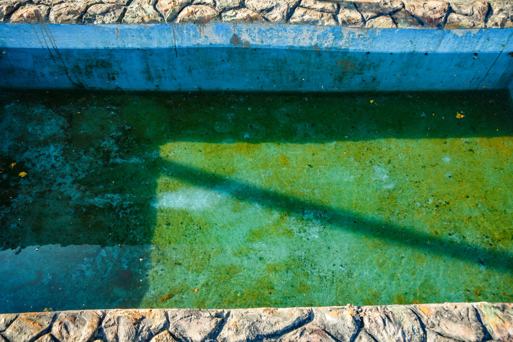 Exploring the Causes of Swimming Pool Algae
