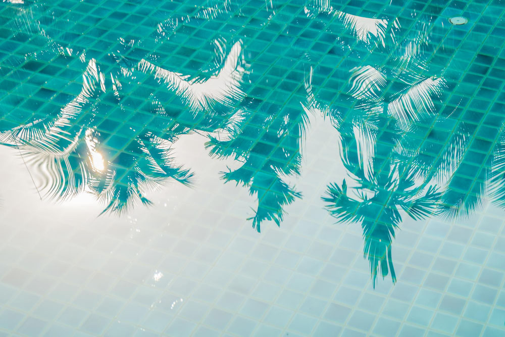 Effective Ways to Keep Leaves Out of Your Pool