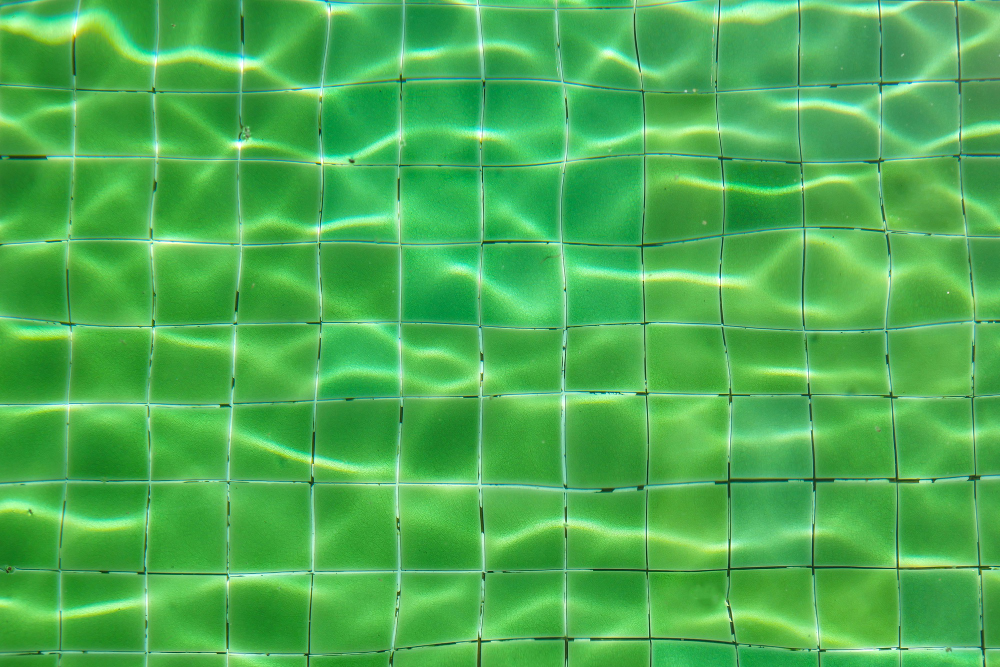 The Ultimate Guide to Reviving Your Green Pool: A Step-By-Step Manual